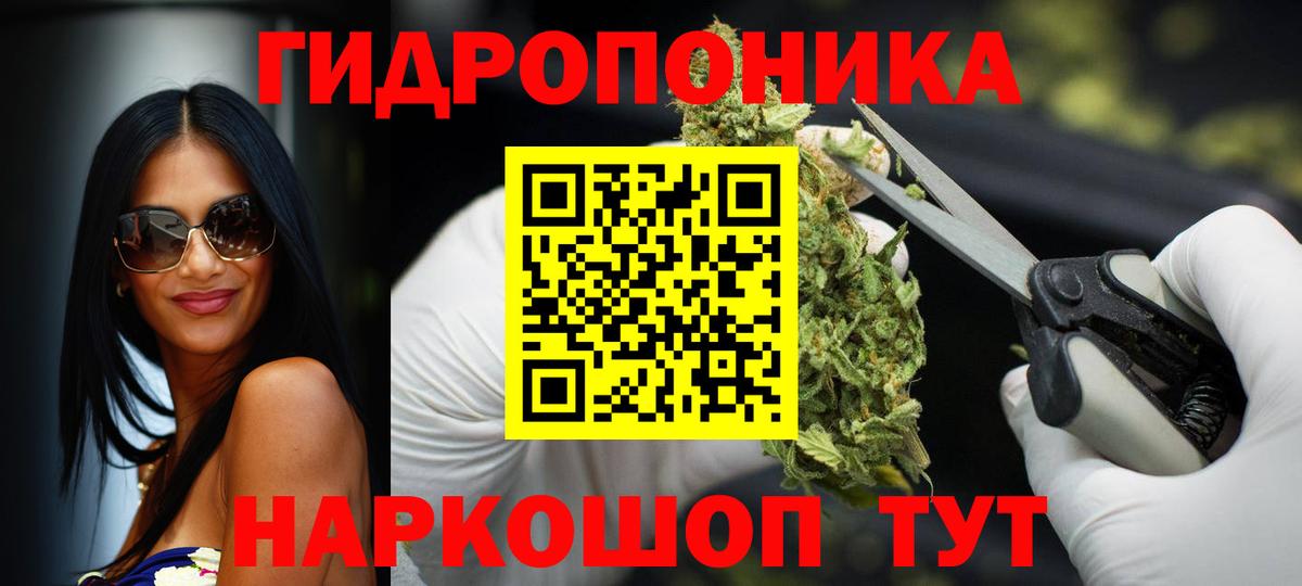 Бошки марихуана семена  Вход с VPN  Бошки марихуана планчик  Каннабис Amnesia  Котельники 